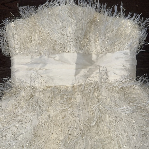 Jay Godfrey Feather Dress - Picture 4 of 7